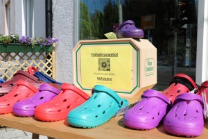 Chung shi Dux-Clogs Frühjahrsangebot: diverse Größen und Farben!